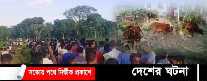 গরু চুরি করতে গিয়ে গণপিটুনিতে নিহত ২