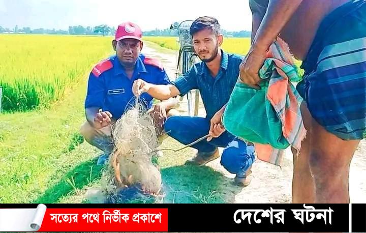 শেরপুরে ফাঁদসহ শিকারি আটক