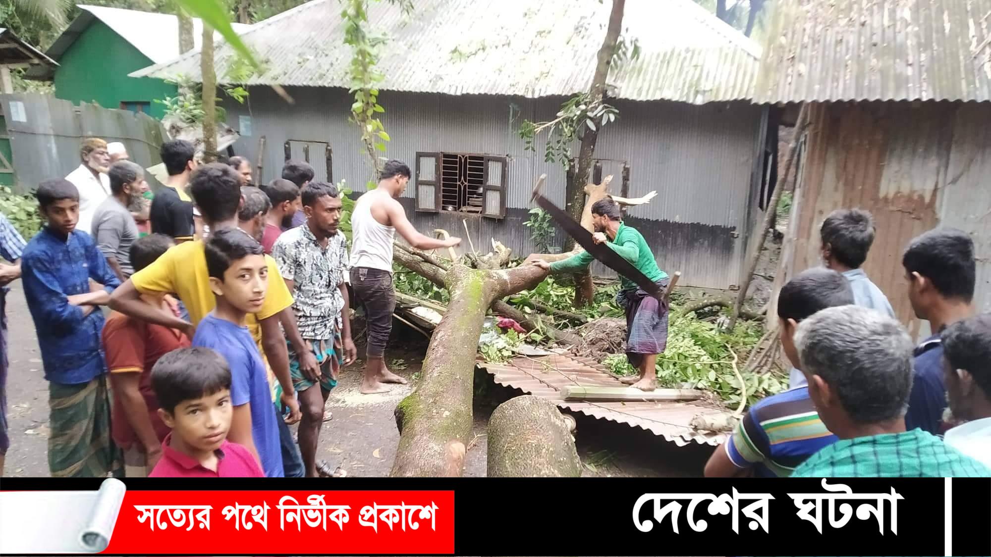কুমিল্লায় সিত্রাং ঘূর্ণিঝড়ে গাছ পড়ে একই পরিবারের ৩ জন নিহত