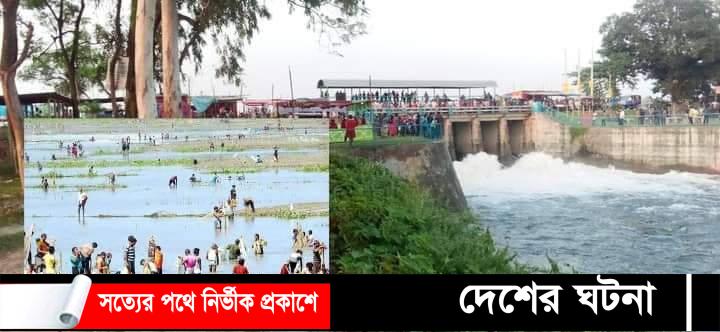 ঠাকুরগাঁও বুড়ির বাঁধে চলছে মাছ ধরা প্রতিযোগী উৎসব