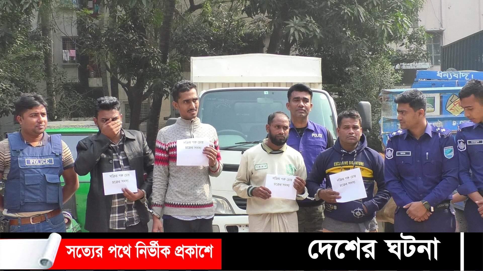 কেরানীগঞ্জে  পিকাপ নিয়ে গরু চুরি, আটক ৪