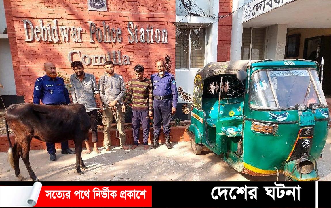 কুমিল্লায় স্ত্রীর সাথে বাজী ধরে গরু চুরি করে জামাইসহ ৩ বন্ধু আটক