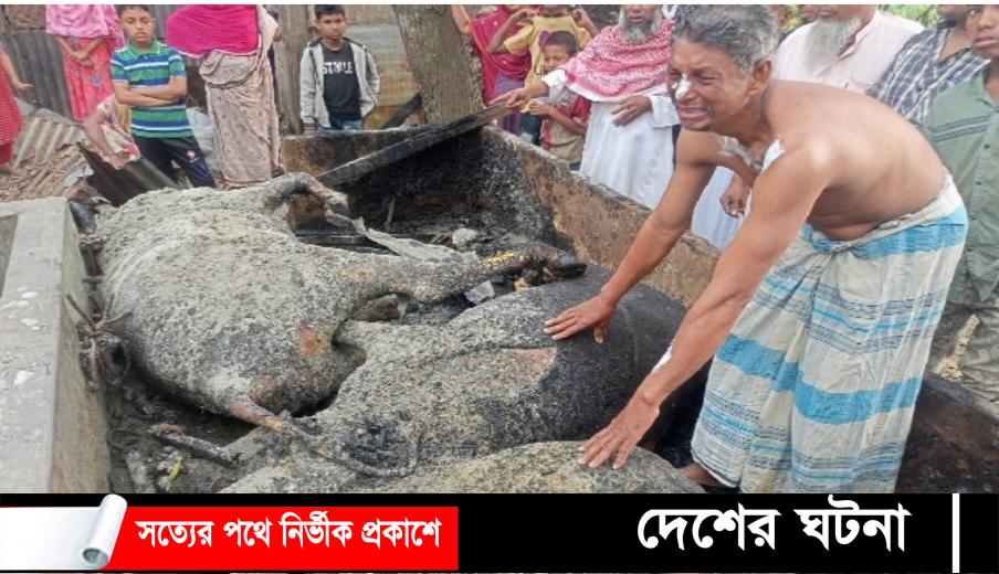 মুরাদনগরে শেষ সম্বল আগুনে পুড়ে ছাই হলো কৃষক সহিদ মিয়ার