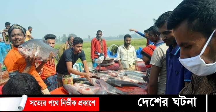 বগুড়ায় দুদিনব্যাপী জামাই মেলা:lবড় মাছ কেনার লড়াইয়ে জামাই-শ্বশুর!