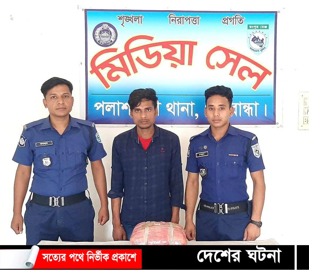 পলাশবাড়ীতে ৩ কেজি গাঁজাসহ গ্রেফতার ১