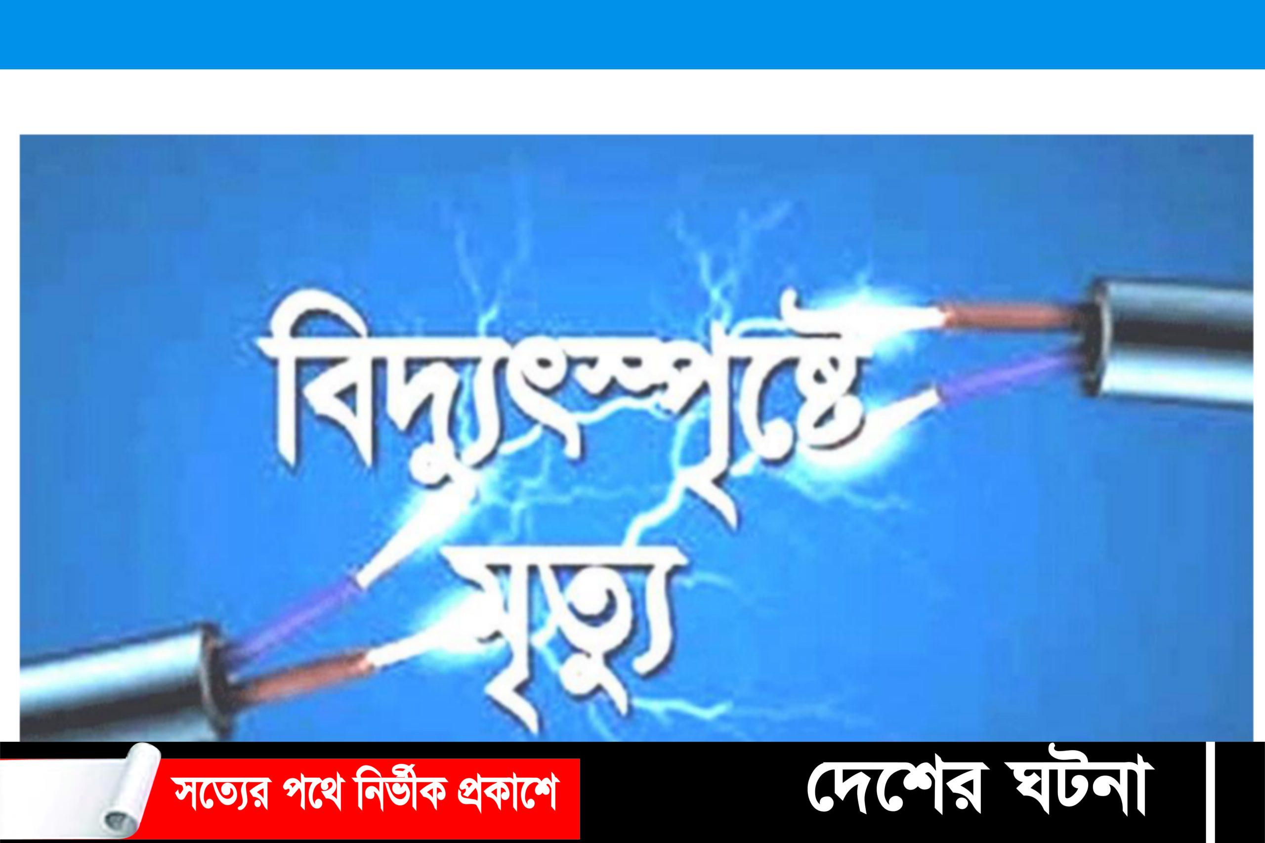 রাণীশংকৈলে বিদ্যুৎস্পৃষ্টে যুবকের মৃত্যু