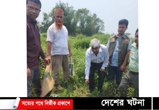 প্লাস্টিকের বস্তা থেকে ১৬টি “সুন্ধি কাছিম”উদ্ধার করলো ডিবি পুলিশ