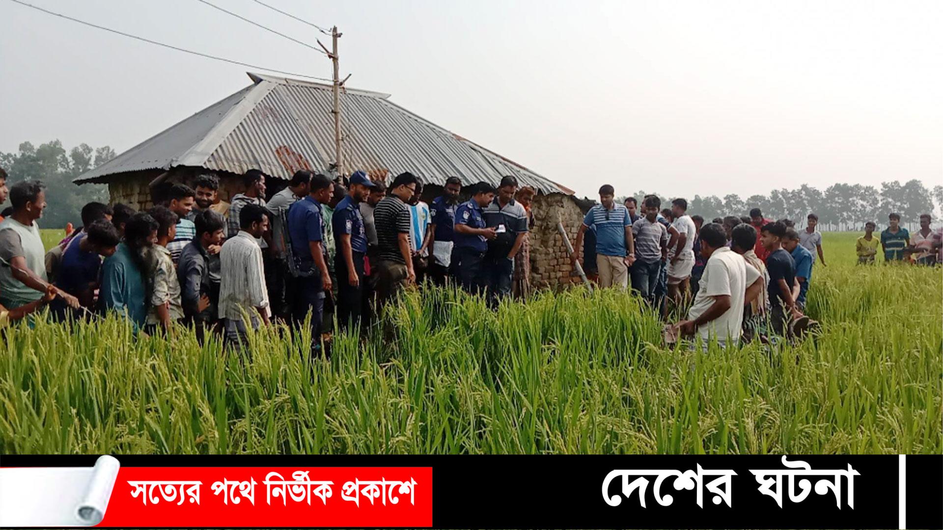 বগুড়ায় ধানক্ষেতে মিলল কিশোরের মরদেহ