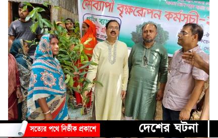 তিতাসে গ্রামীন ব্যাংকের  চারা গাছ বিতরণ