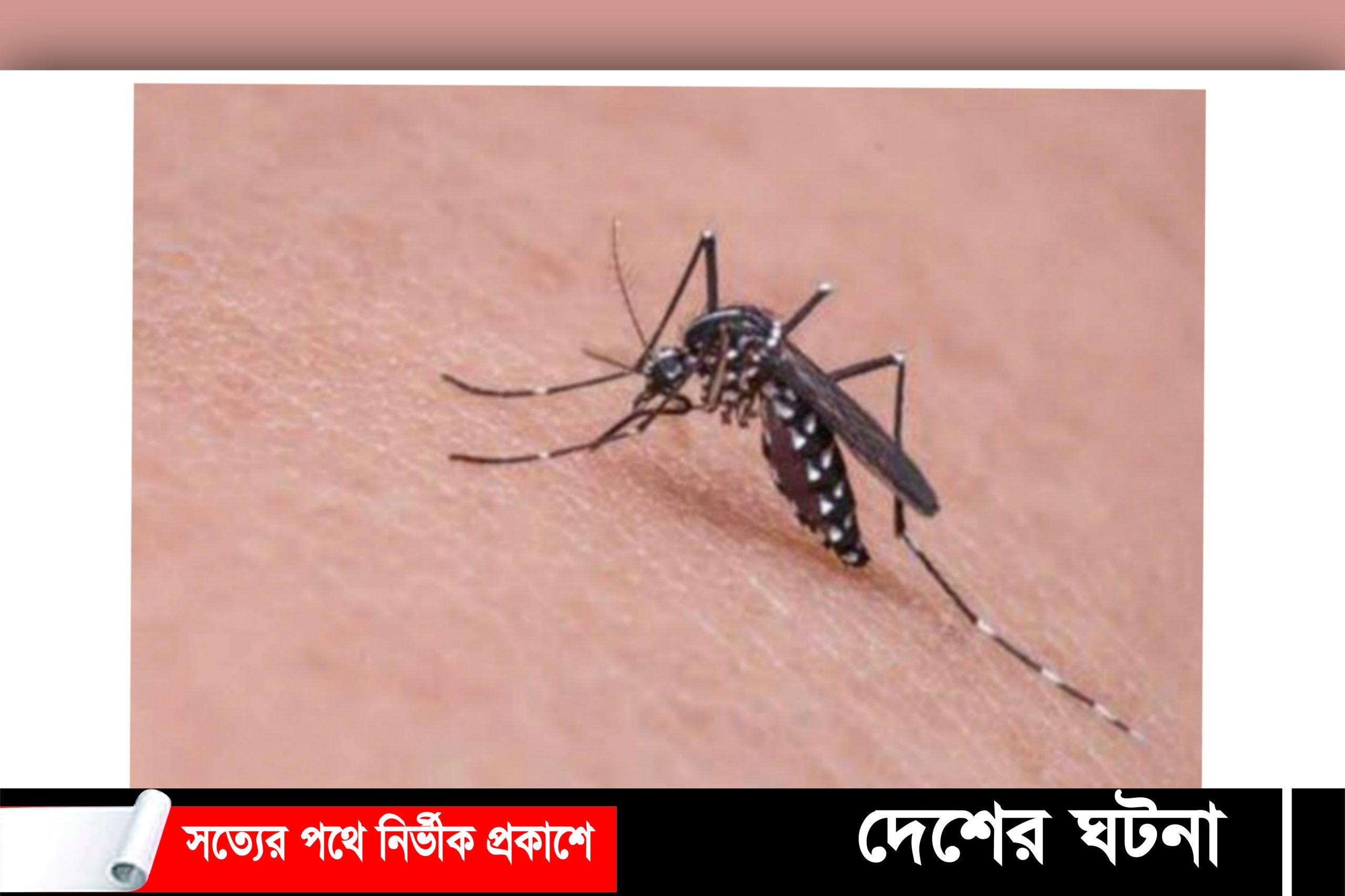 ডেঙ্গুতে ৩ সন্তানের জননীর মৃত্যু