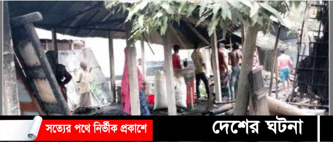 বগুড়ায় অগ্নিকাণ্ডে কৃষক দগ্ধ, গরুর মৃত্যু