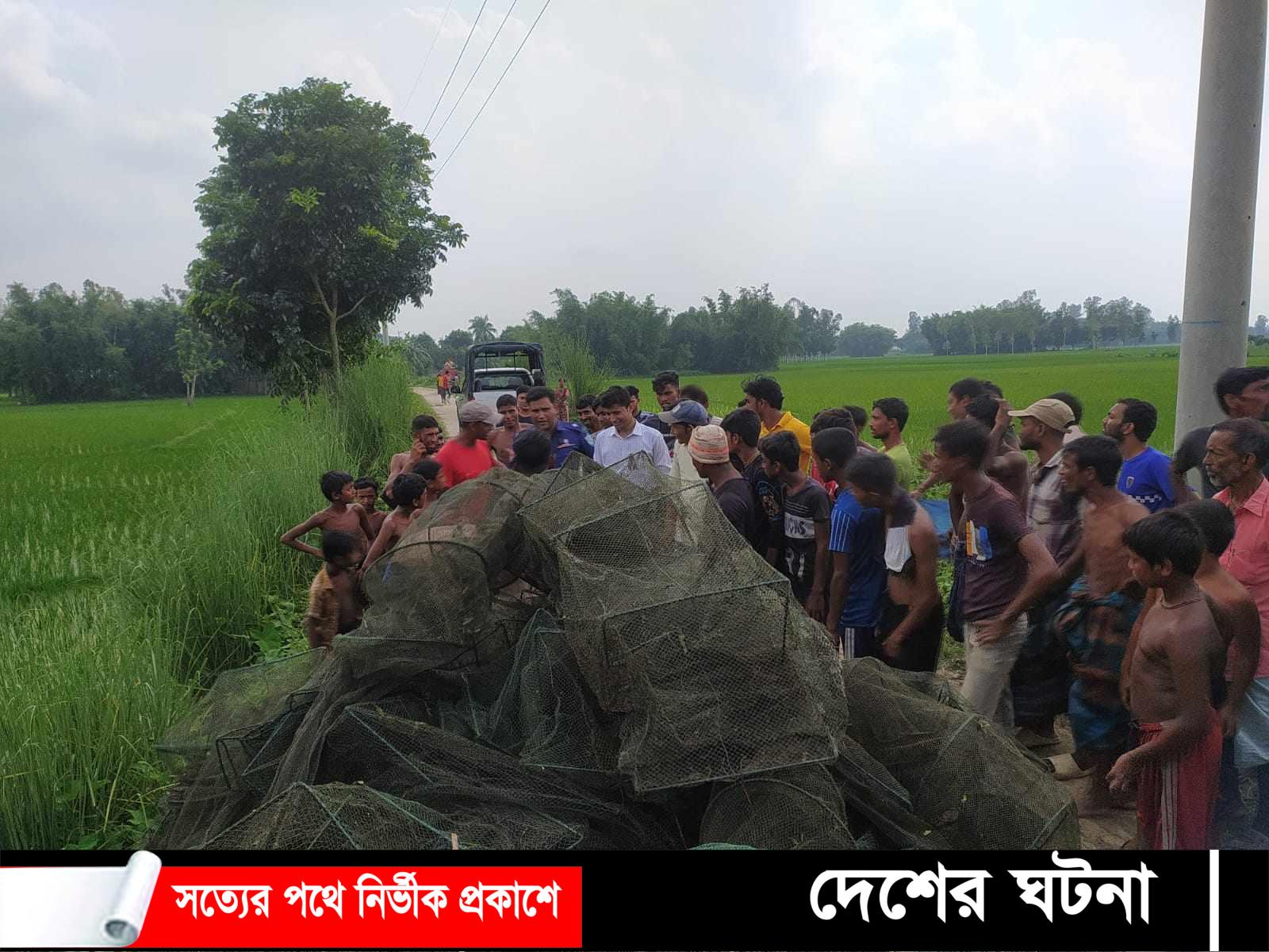 রাণীশংকৈলে নিষিদ্ধ’চায়না মাছ ধরার জাল জব্দ