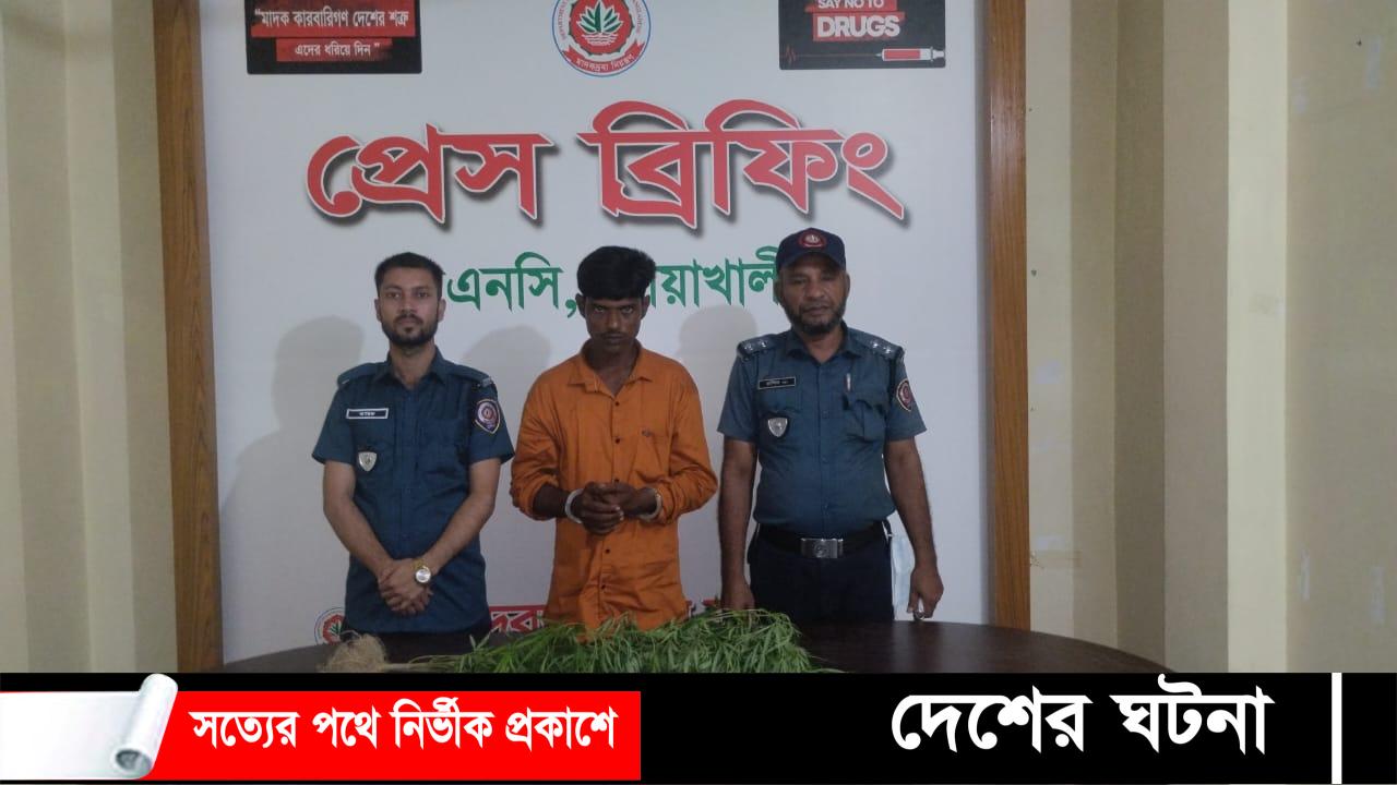 বাড়ির ছাদে গাঁজা চাষ,কেয়ারটেকার গ্রেফতার