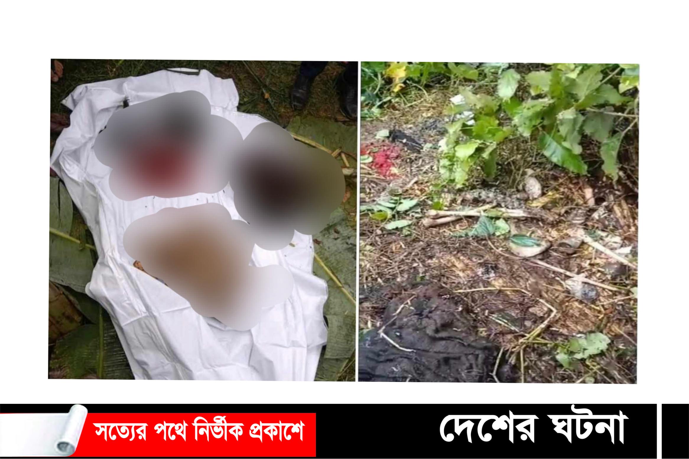 কুষ্টিয়ার নিখোঁজ ইজিবাইক চালকের ১৮দিন পর কঙ্কাল উদ্ধার