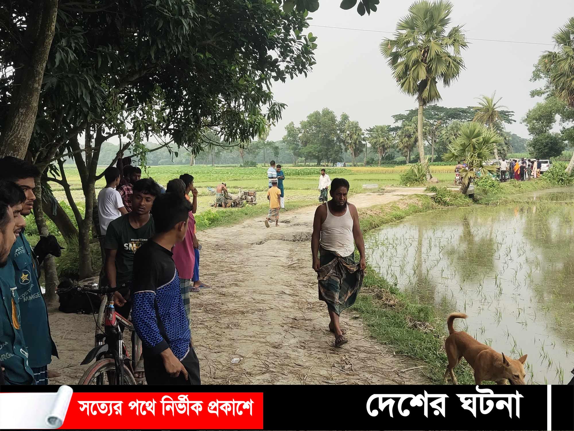 কুমিল্লায় জমি নিয়ে বিরোধের জের ধরে দুইজন খুন