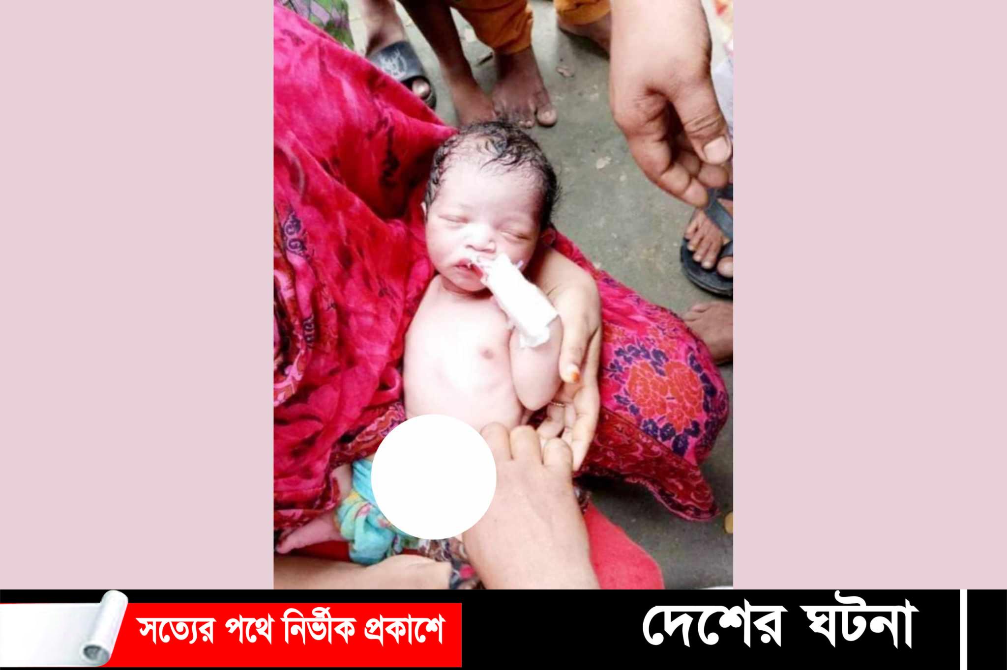 নোয়াখালীতে জঙ্গলে মিলল জীবিত নবজাতক