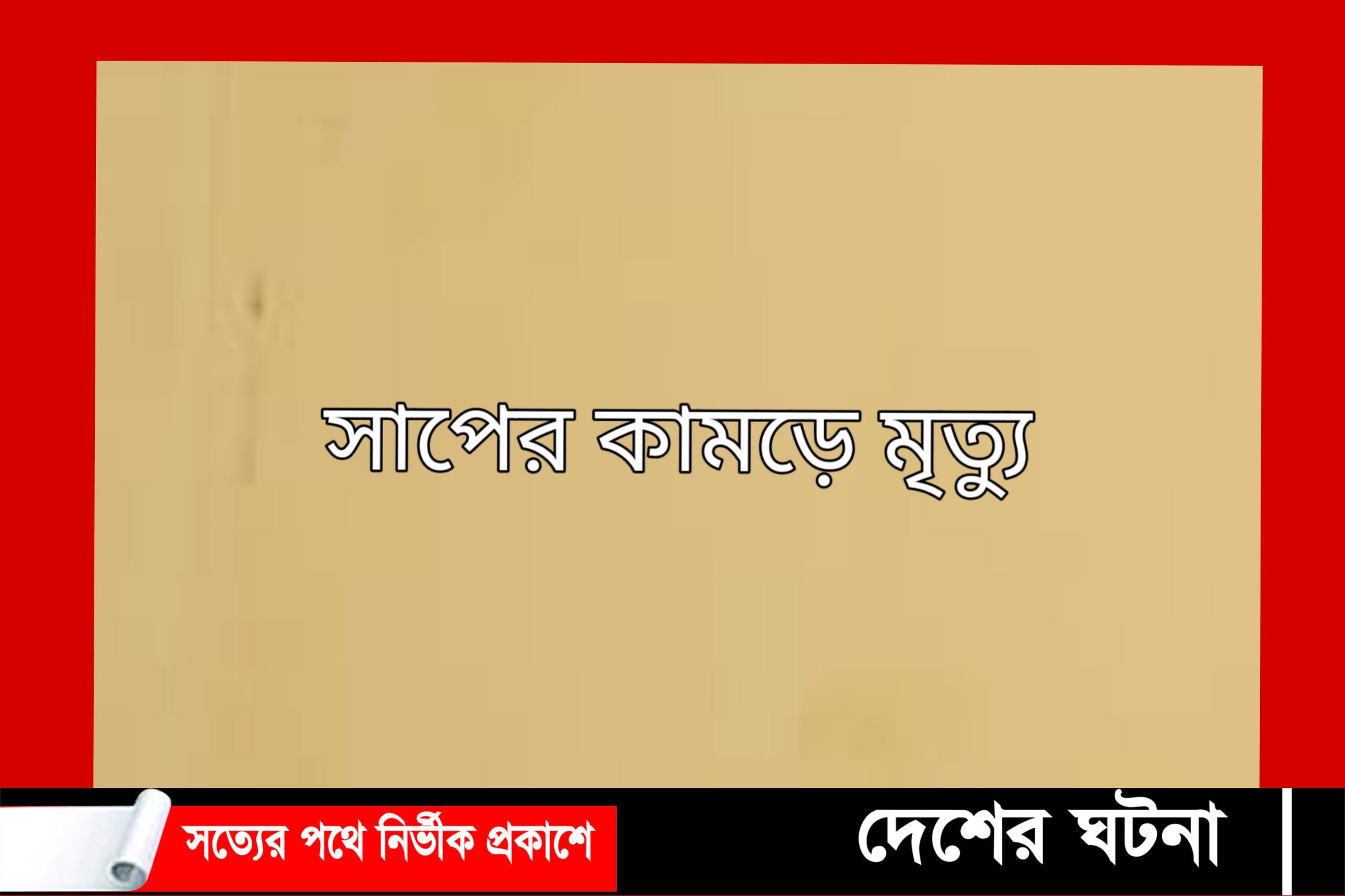 ঝালকাঠিতে সাপের কামড়ে গৃহবধুর মৃত্যু