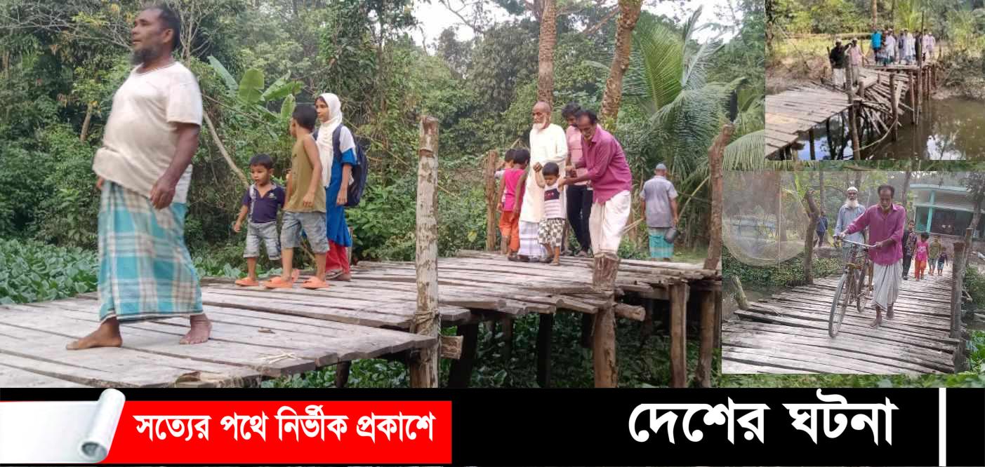 ফরিদগঞ্জে সেতুর অভাবে যাতায়াতে হাজারো মানুষের দুর্ভোগ