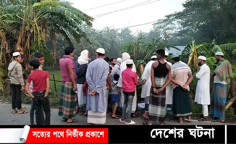 নামাজ পড়তে যাওয়ার পথে মাইক্রো চাপায় মুসল্লির মৃত্যু