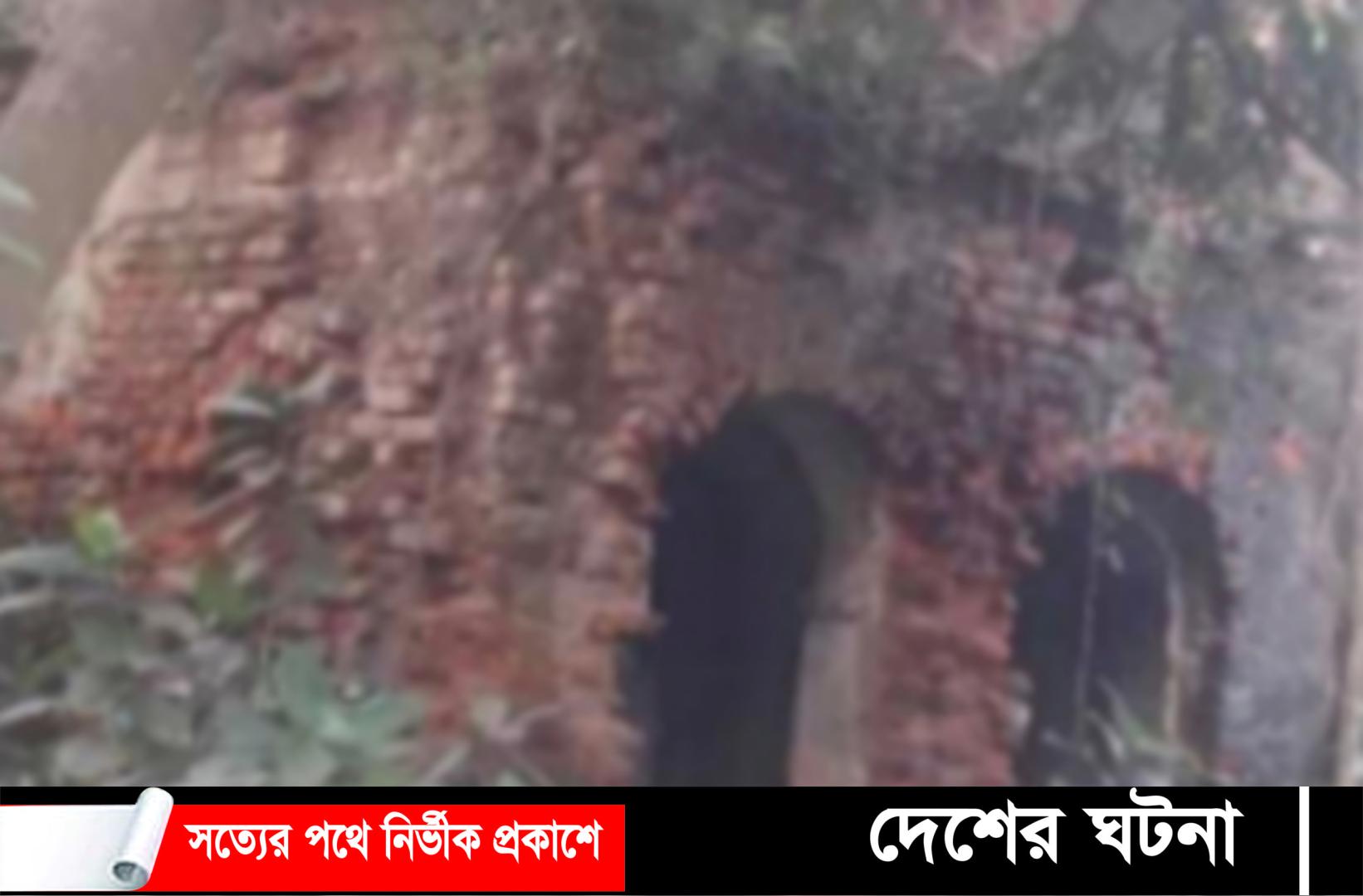 খুলনায় খাসি- গরু কথা বলে কুকুরের মাংস বিক্রি, আটক ৪