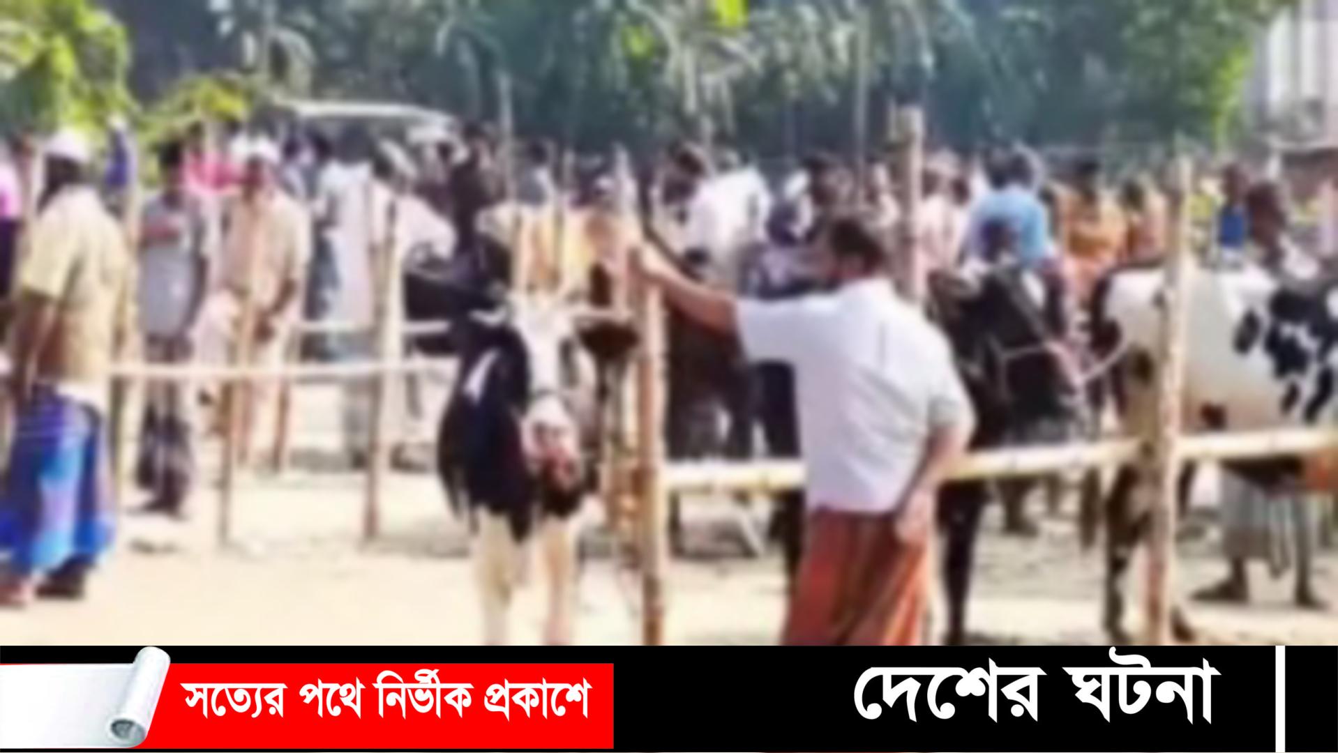 গরুর হাট বসানো নিয়ে দুই উপজেলার মধ্যে সংঘর্ষ আহত ১০