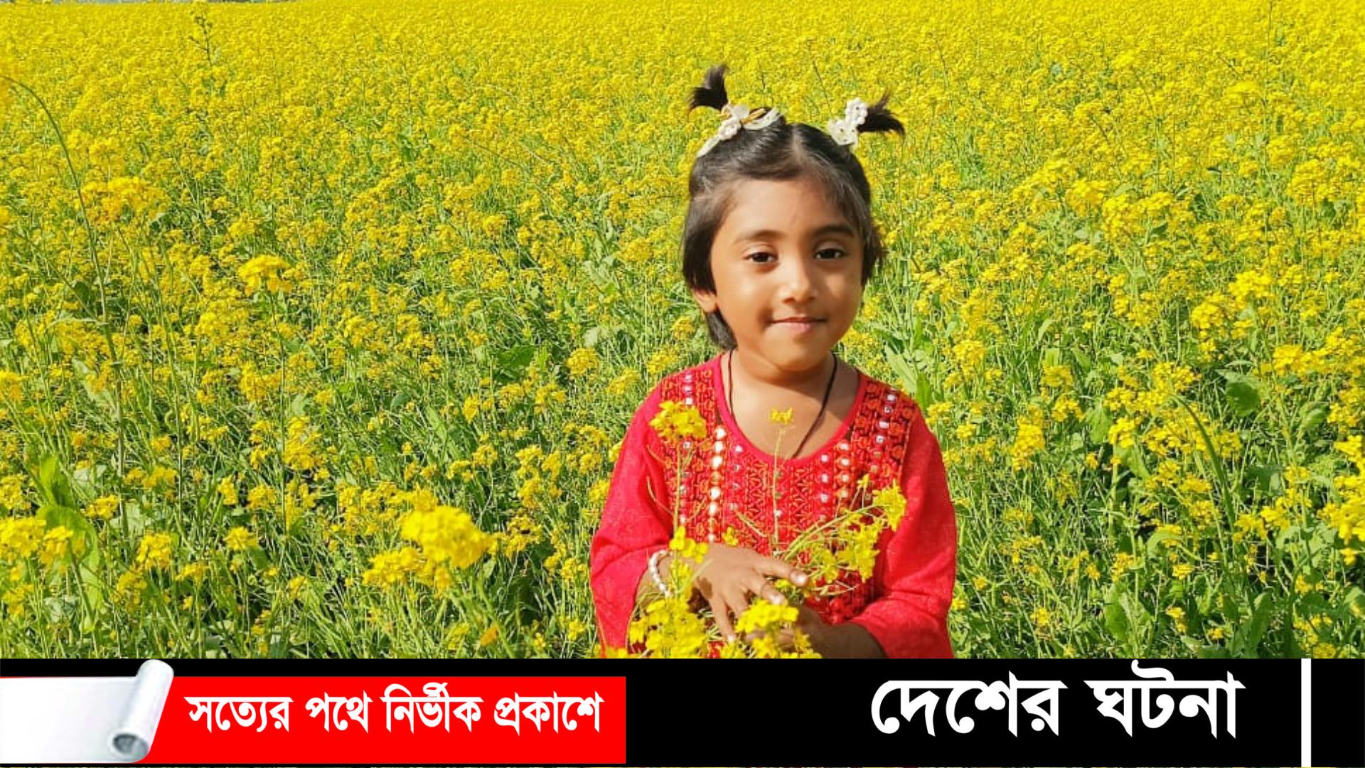 ধামরাইয়ে সরিষার বাম্পার ফলনের আশা কৃষকদের