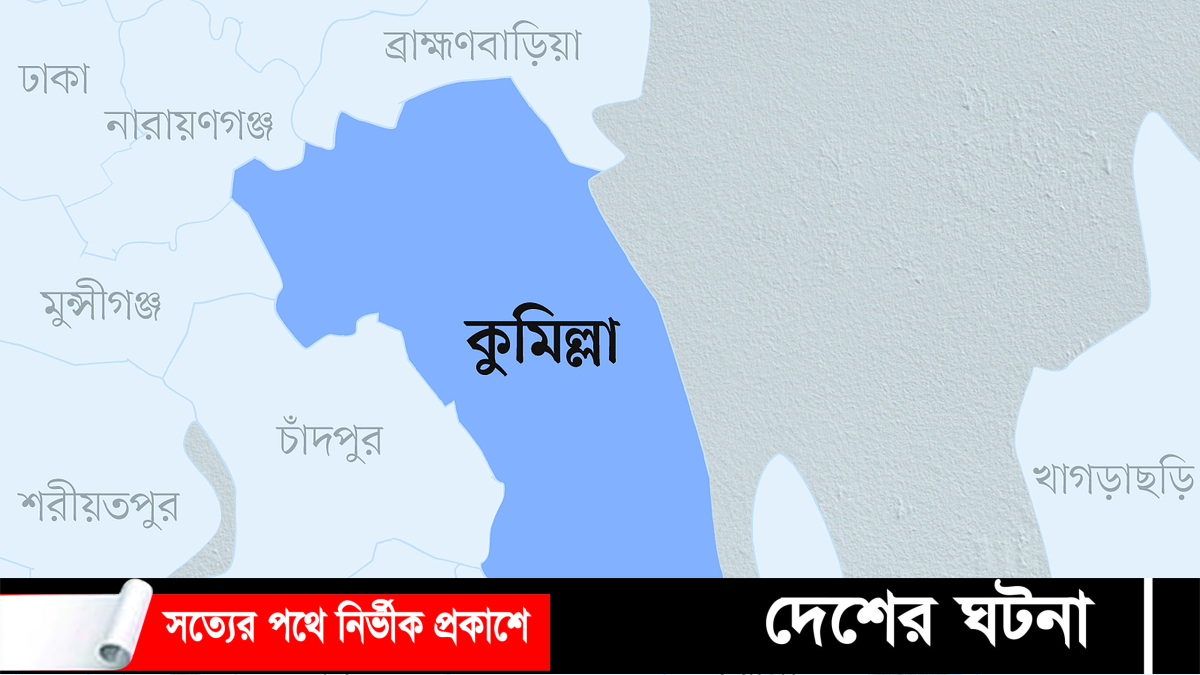 ভাতিজার ইটের আঘাতে চাচার মৃত্যু