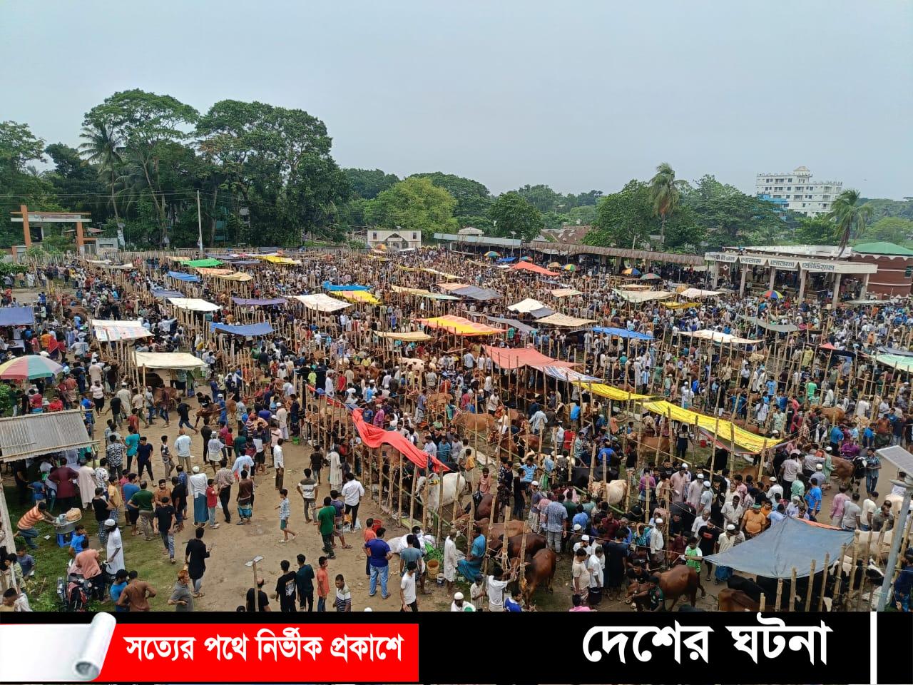 ছোট গরুর ক্রেতা বেশি, দুশ্চিন্তায় বড় গরু বিক্রেতারা 