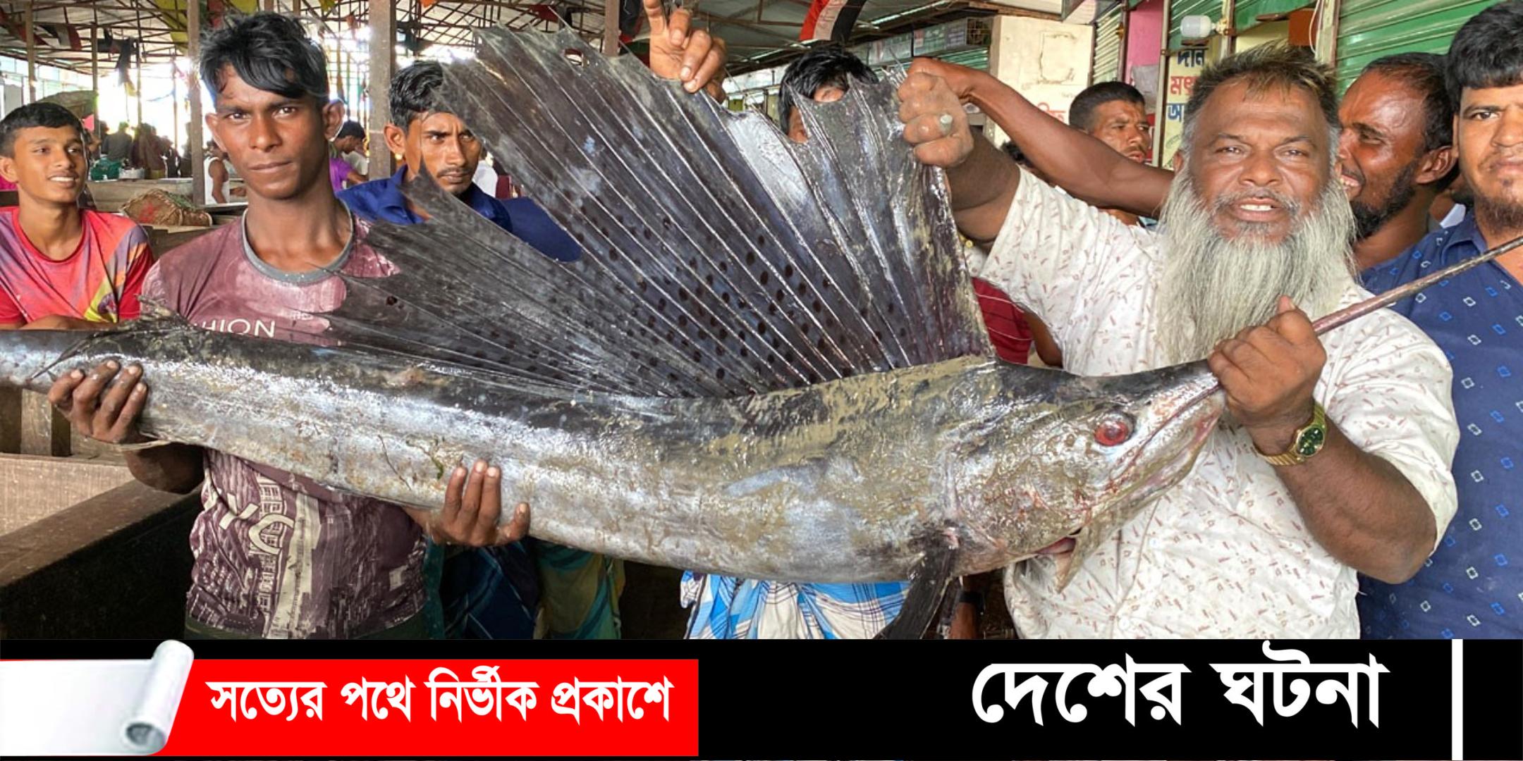 জেলের জালে ধরা পড়ল ২ পাখি মাছ