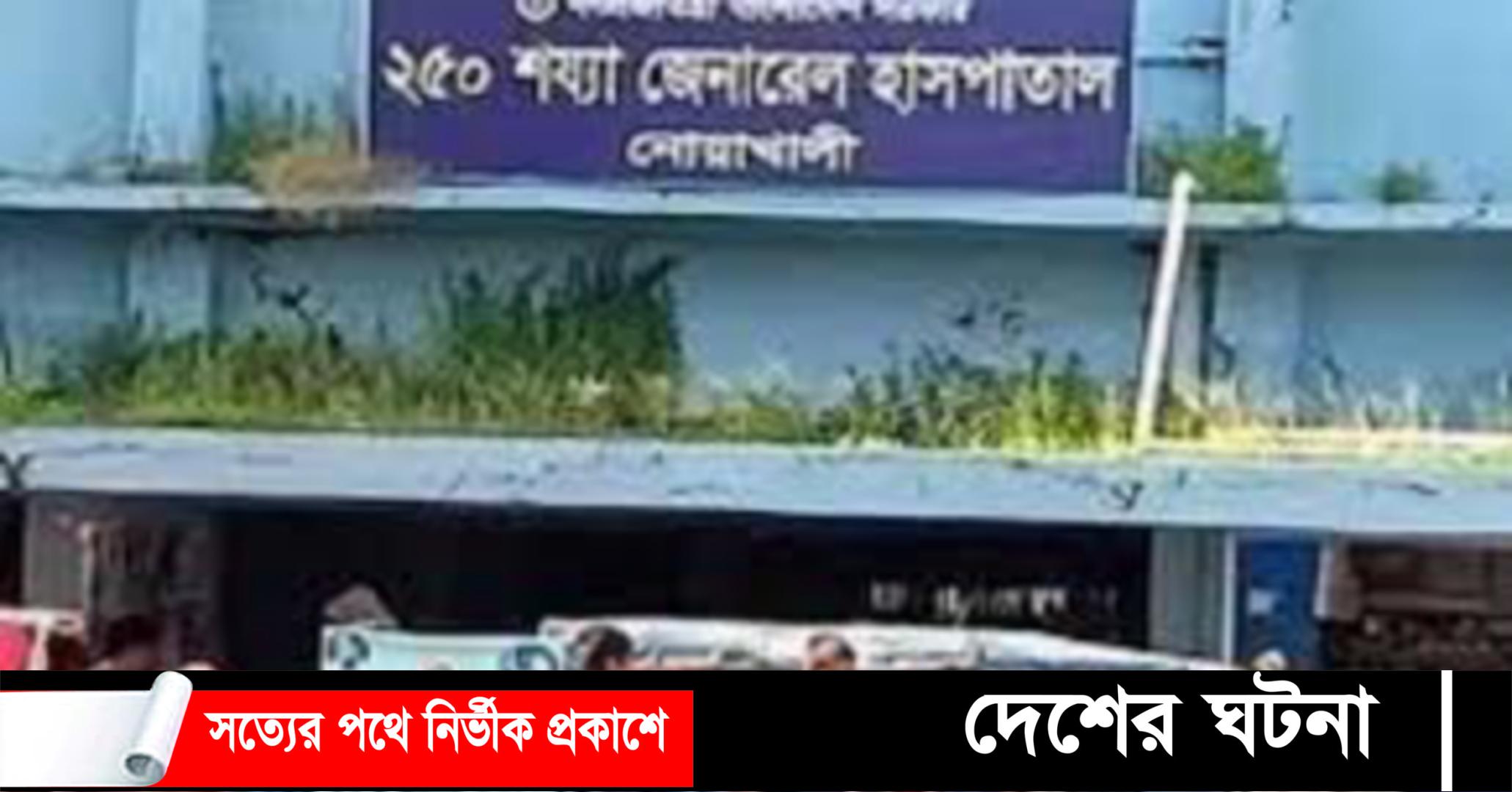 বন্যা দুর্গত এলাকায়  সাপের কামড়ে হাসপাতালে ২৫৫ জন