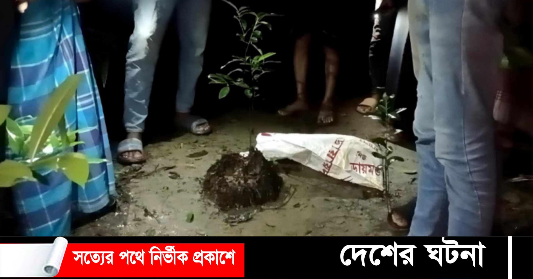 সুপারীর বাগিচায় প্লাস্টিকের ব্যাগে নবজাতকের লাশ!