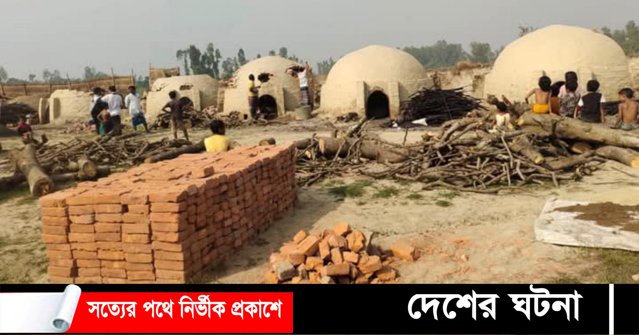 সাঘাটায় অবৈধ ৪১ টি কয়লার চুল্লি ধ্বংস করলো উপজেলা প্রশাসন