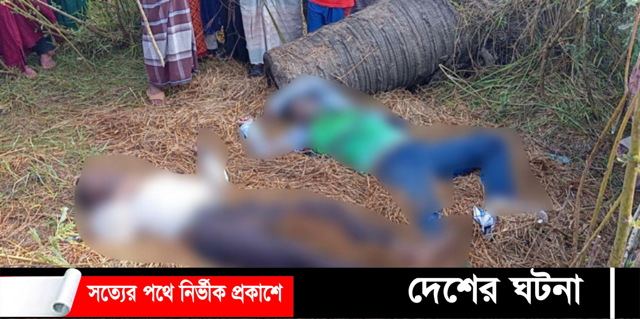 দেবীদ্বারে বিল থেকে দুই যুবকের মরদেহ উদ্ধার