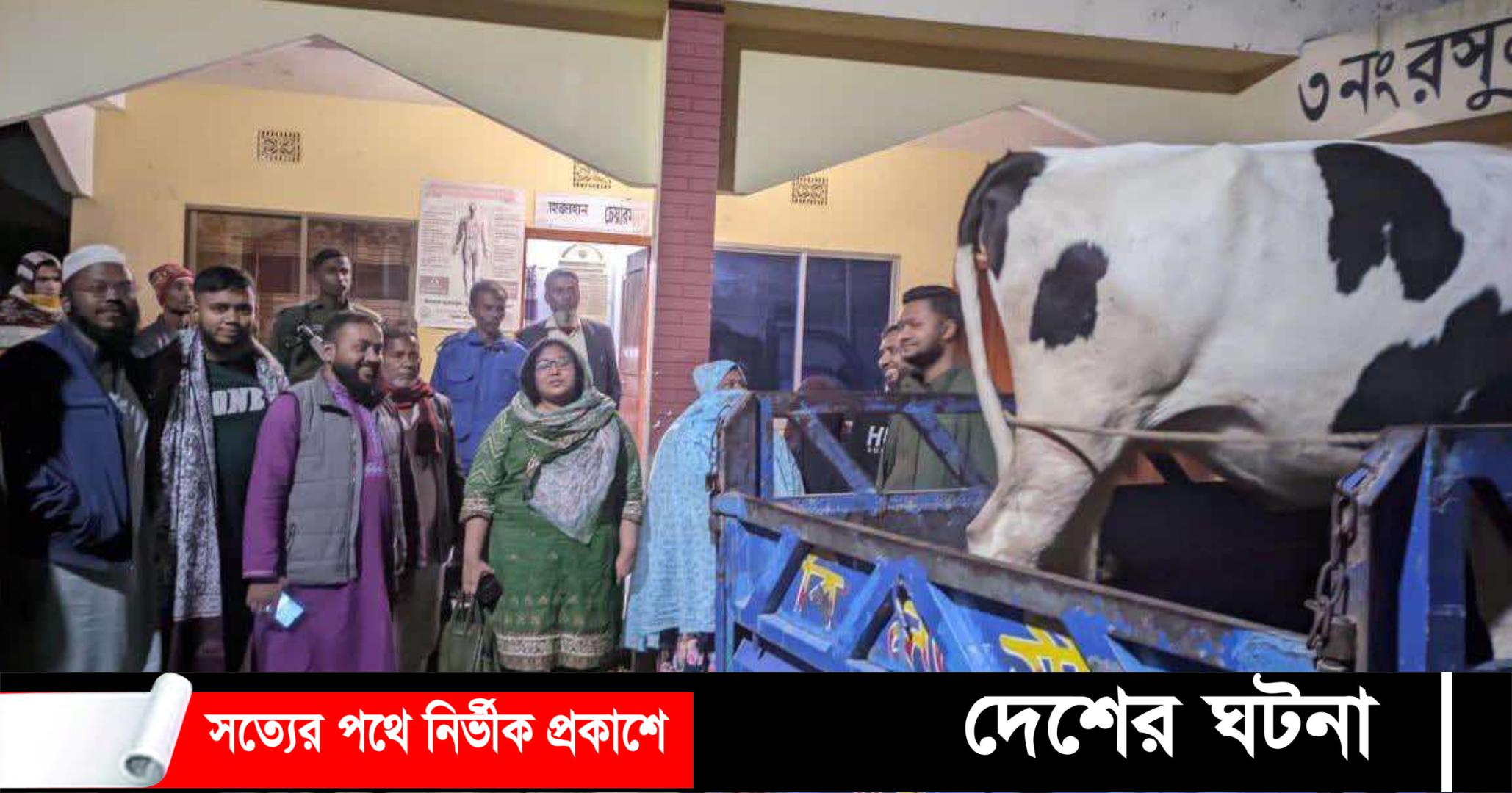 জুলাই গণঅভ্যূত্থান শহীদ সাগরের মাকে  প্রশাসনের গাভী উপহর