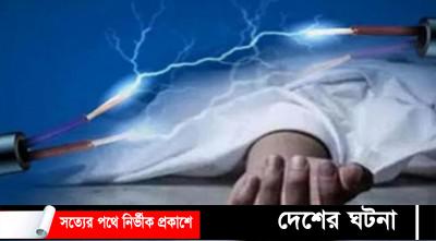 কুমিল্লায় গাছের ডালা কাটতে গিয়ে বিদ্যুৎপৃষ্টে বৃদ্ধ নিহত