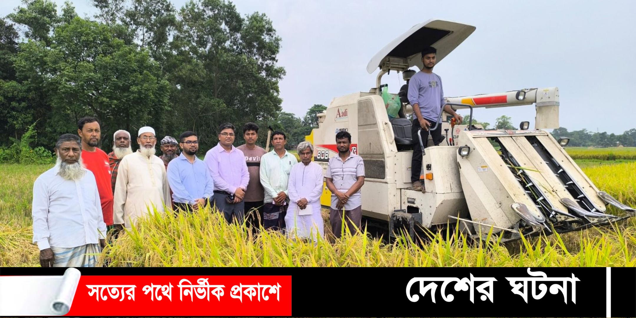 বাংলাদেশের ব্রি ধান- ১০২ এর সর্ববৃহৎ মাঠ দেবীদ্বারে
