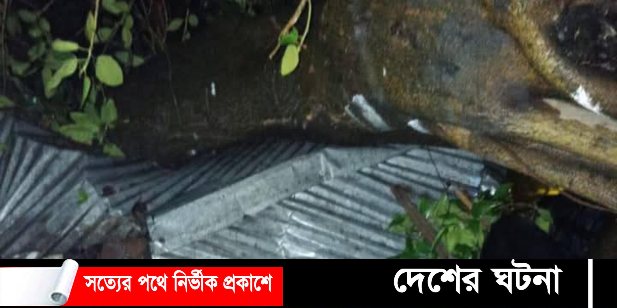 গোবিন্দগঞ্জে ঝড়ে বটগাছ পড়ে চা দোকানীর স্ত্রীর মৃত্যু
