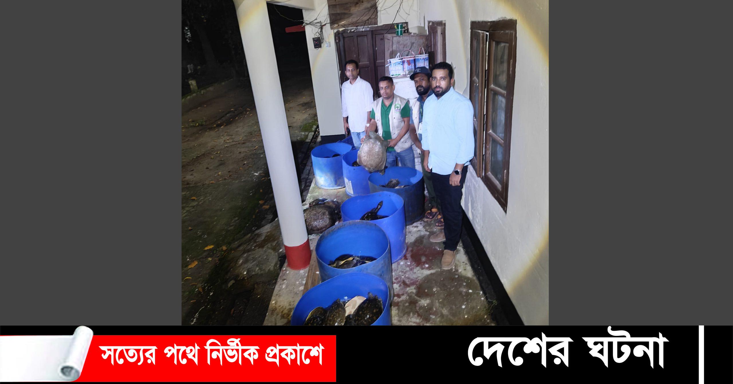 নোয়াখালীতে ৪২৫ কচ্ছপ উদ্ধার