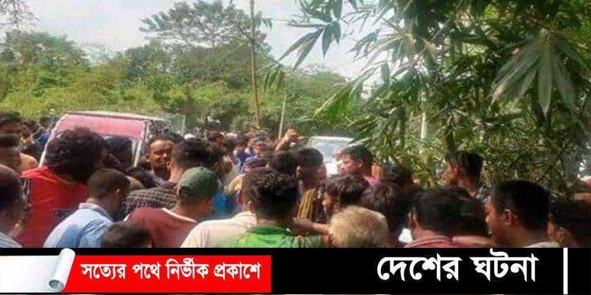 ডিমলায় পিকআপের চাকায় পিষ্ট হয়ে নানী- নাতনীর মৃত্যু